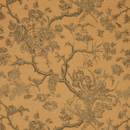 SCHUMACHER  A COUNTRY LIFE INVERNESS GARDEN   Document   - 182830
