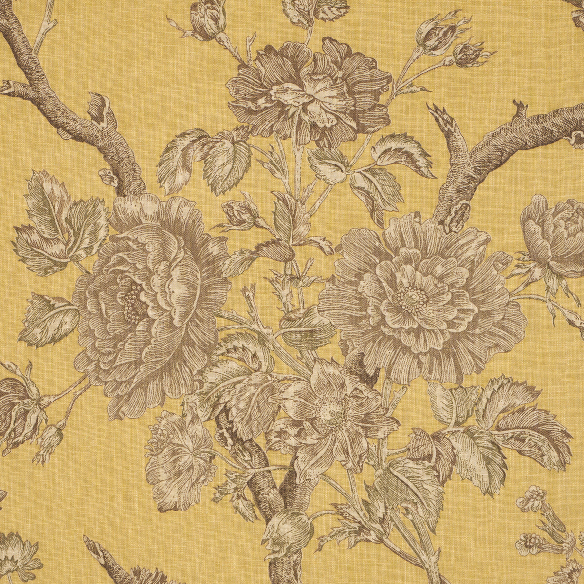 SCHUMACHER  A COUNTRY LIFE INVERNESS GARDEN   Buttercup   - 182831