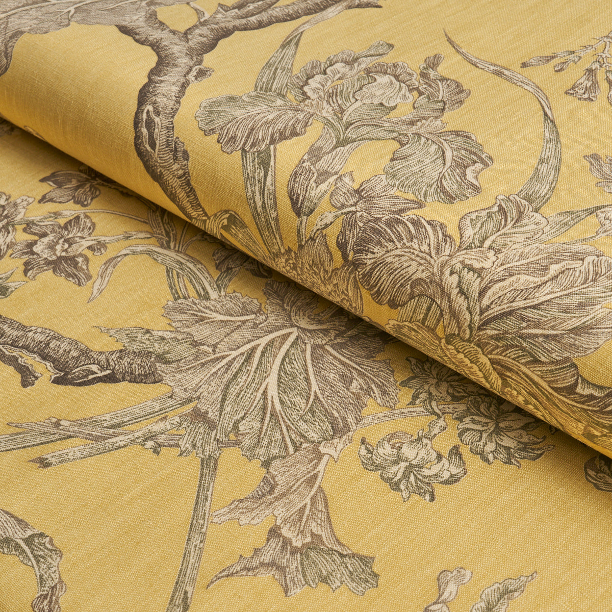 SCHUMACHER  A COUNTRY LIFE INVERNESS GARDEN   Buttercup   - 182831