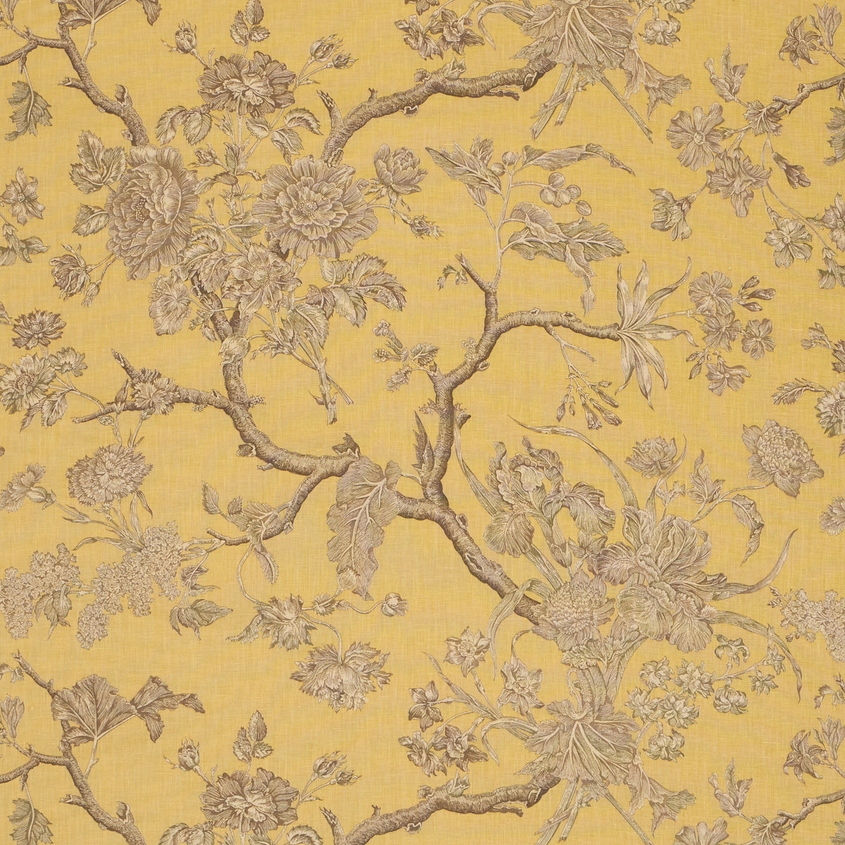 SCHUMACHER  A COUNTRY LIFE INVERNESS GARDEN   Buttercup   - 182831