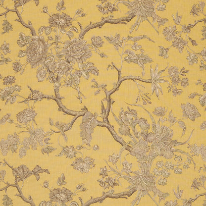 SCHUMACHER  A COUNTRY LIFE INVERNESS GARDEN   Buttercup   - 182831