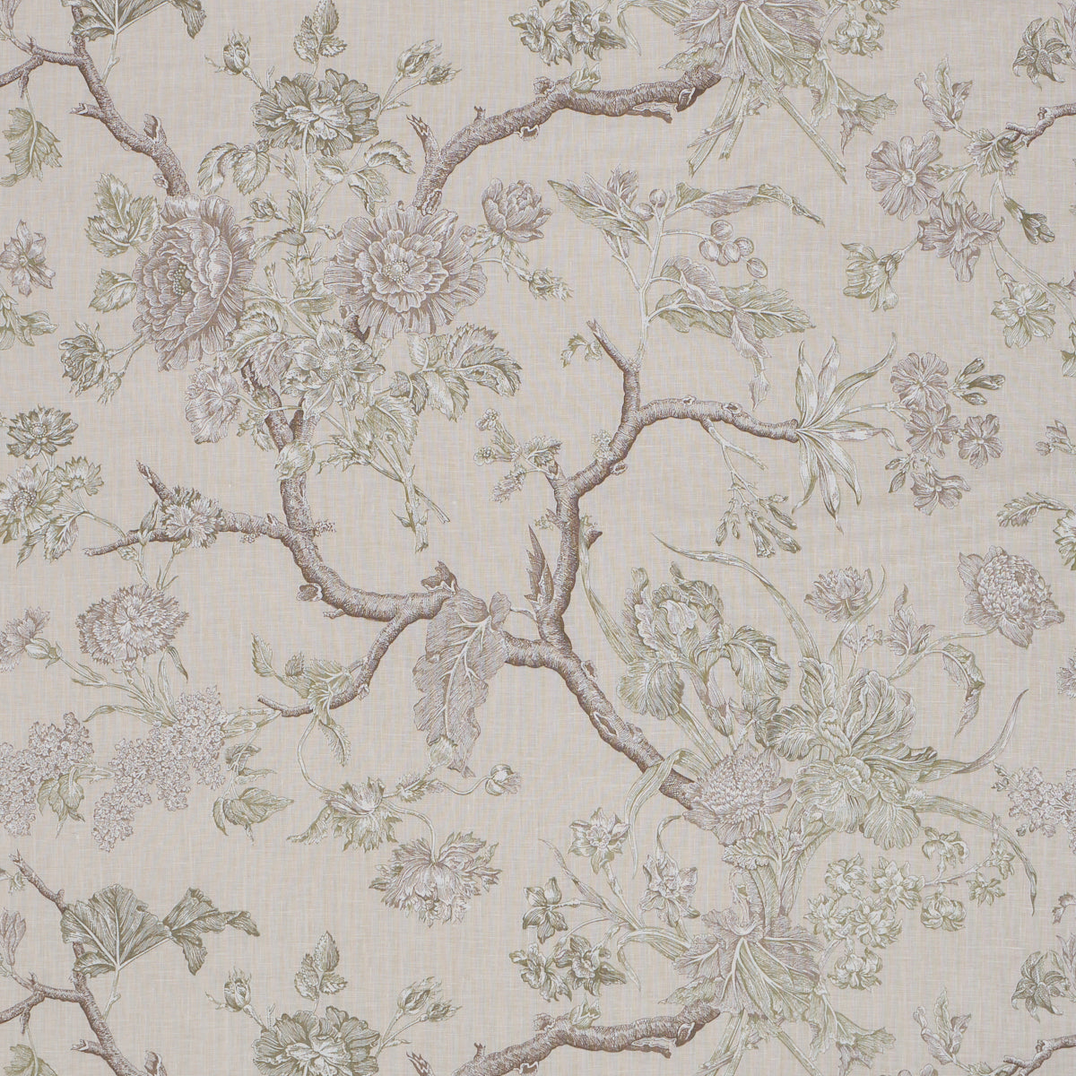 SCHUMACHER  A COUNTRY LIFE INVERNESS GARDEN   Ivory   - 182832