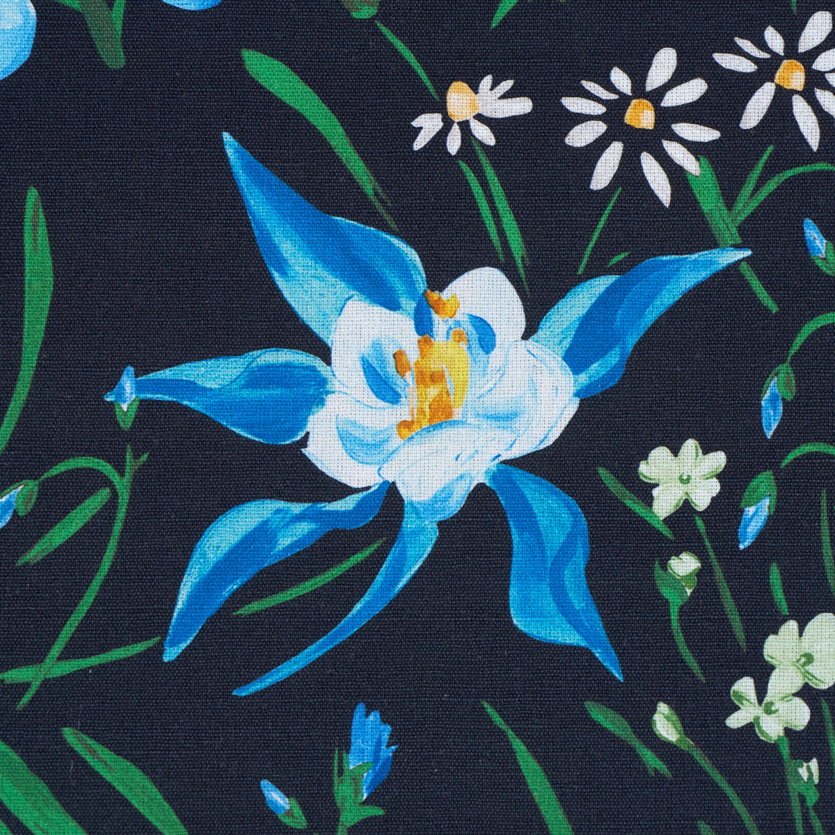 SCHUMACHER  PATRICK MELE OZ FLORAL   Ebony   - 182850