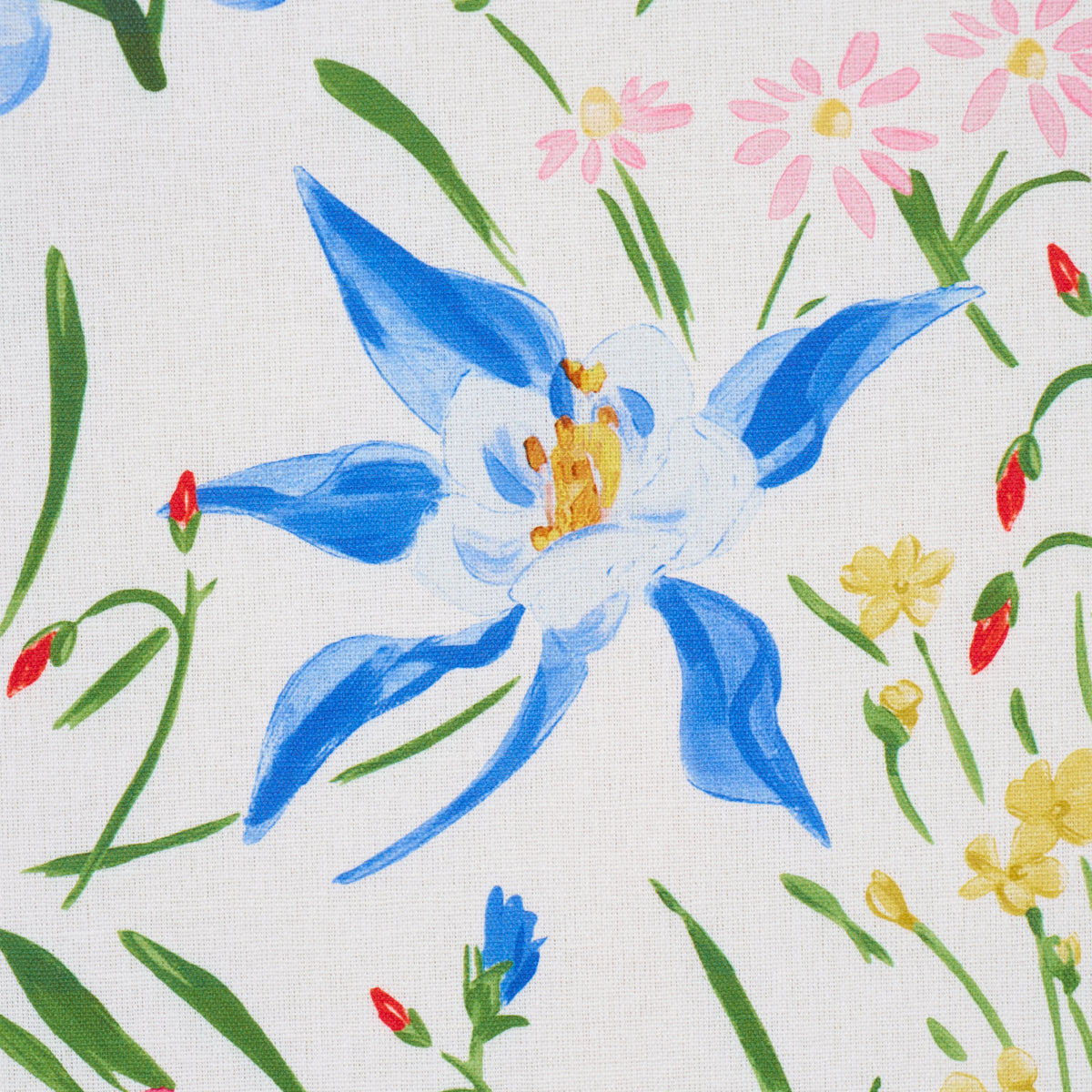 SCHUMACHER  PATRICK MELE OZ FLORAL   Multi   - 182852