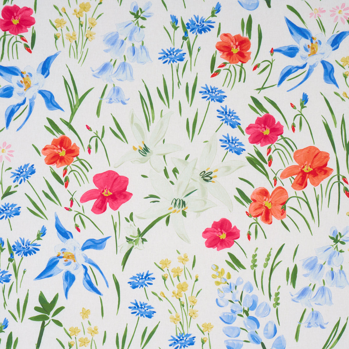 SCHUMACHER  PATRICK MELE OZ FLORAL   Multi   - 182852
