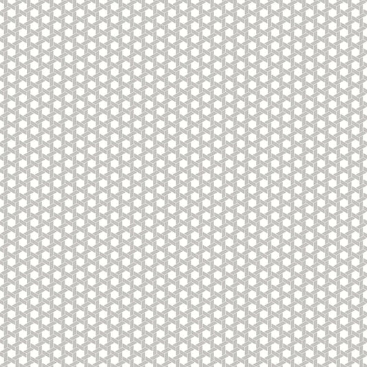 Galerie Wallcoverings Into The Wild Geo Hex Galerie Wallcoverings  Silver Grey   - 18510