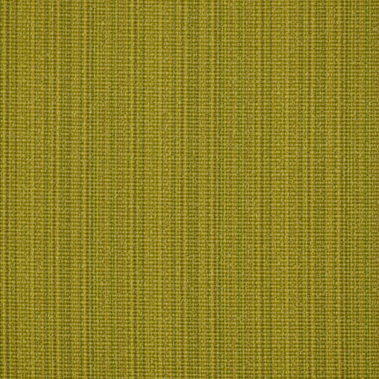 Robert Allen @ Home Run Along | Kiwi  Upholstery     - 185363