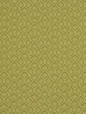 Robert Allen Atari | Leaf  Upholstery     - 185709