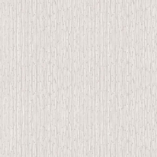 Galerie Wallcoverings Into The Wild Bamboo Galerie Wallcoverings  Silver Grey   - 18570