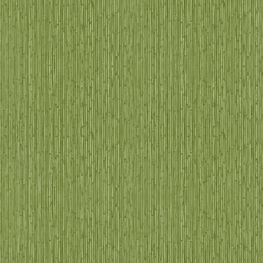 Galerie Wallcoverings Into The Wild Bamboo Galerie Wallcoverings  Green   - 18575