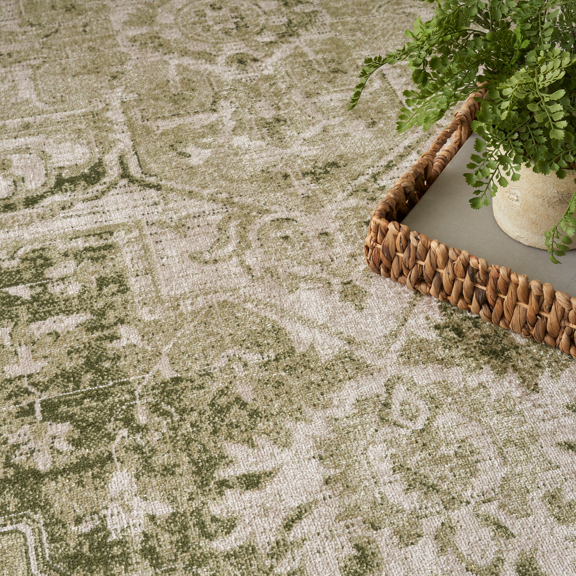 Olive and beige distressed patterned area rug with vintage botanical motif; woven basket tray with plant nearby.