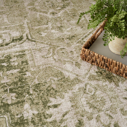 Olive and beige distressed patterned area rug with vintage botanical motif; woven basket tray with plant nearby.