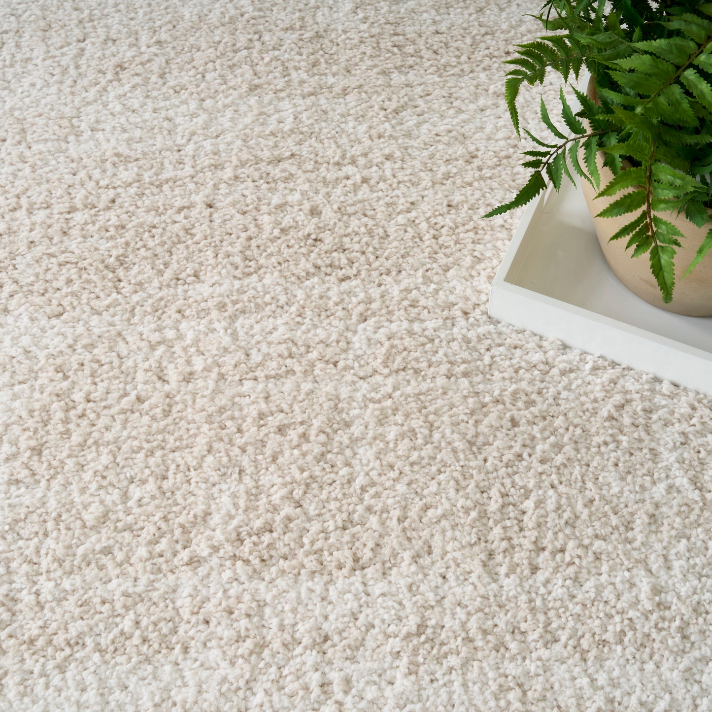 Cream shag carpet texture, white tray with a potted fern for a fresh, modern home decor look.