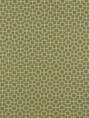 Robert Allen @ Home Puzzle Maze | Spa  Drapery     - 189523