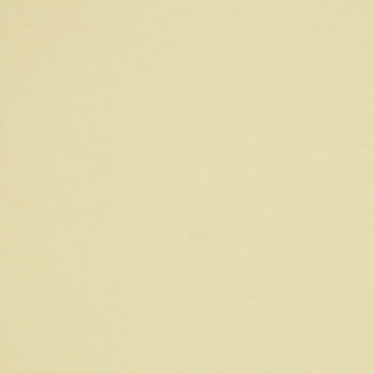 Robert Allen Contract Crypton Suede | Bone  Upholstery     - 189765