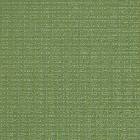 Robert Allen Contract Color Splash | Spearmint  Upholstery     - 189991