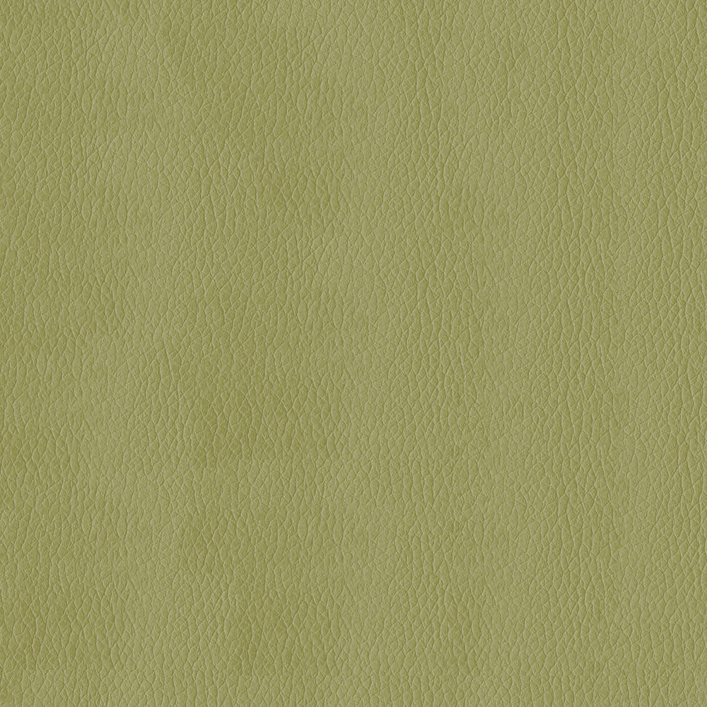 NICHOLASJOHN INC NJ-KENDRICK Meadow Solid,Texture   Fabric - NJ25-2687