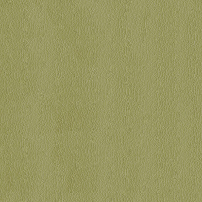 NICHOLASJOHN INC NJ-KENDRICK Meadow Solid,Texture   Fabric - NJ25-2687