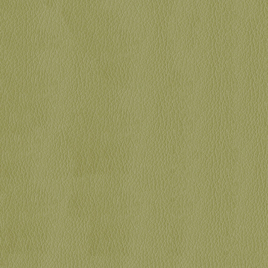 NICHOLASJOHN INC NJ-KENDRICK Meadow Solid,Texture   Fabric - NJ25-2687