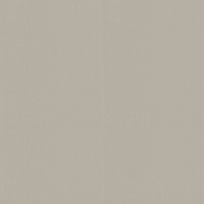 NICHOLASJOHN INC NJ-SEINE Ecru Texture,Contemporary,Organic   Fabric - NJ25-931