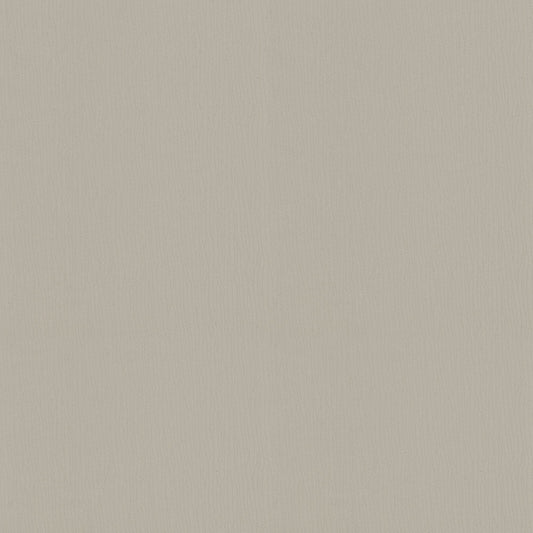 NICHOLASJOHN INC NJ-SEINE Ecru Texture,Contemporary,Organic   Fabric - NJ25-931