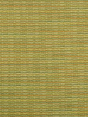 Robert Allen Contract Undulation | Cantaloupe  Upholstery     - 190139