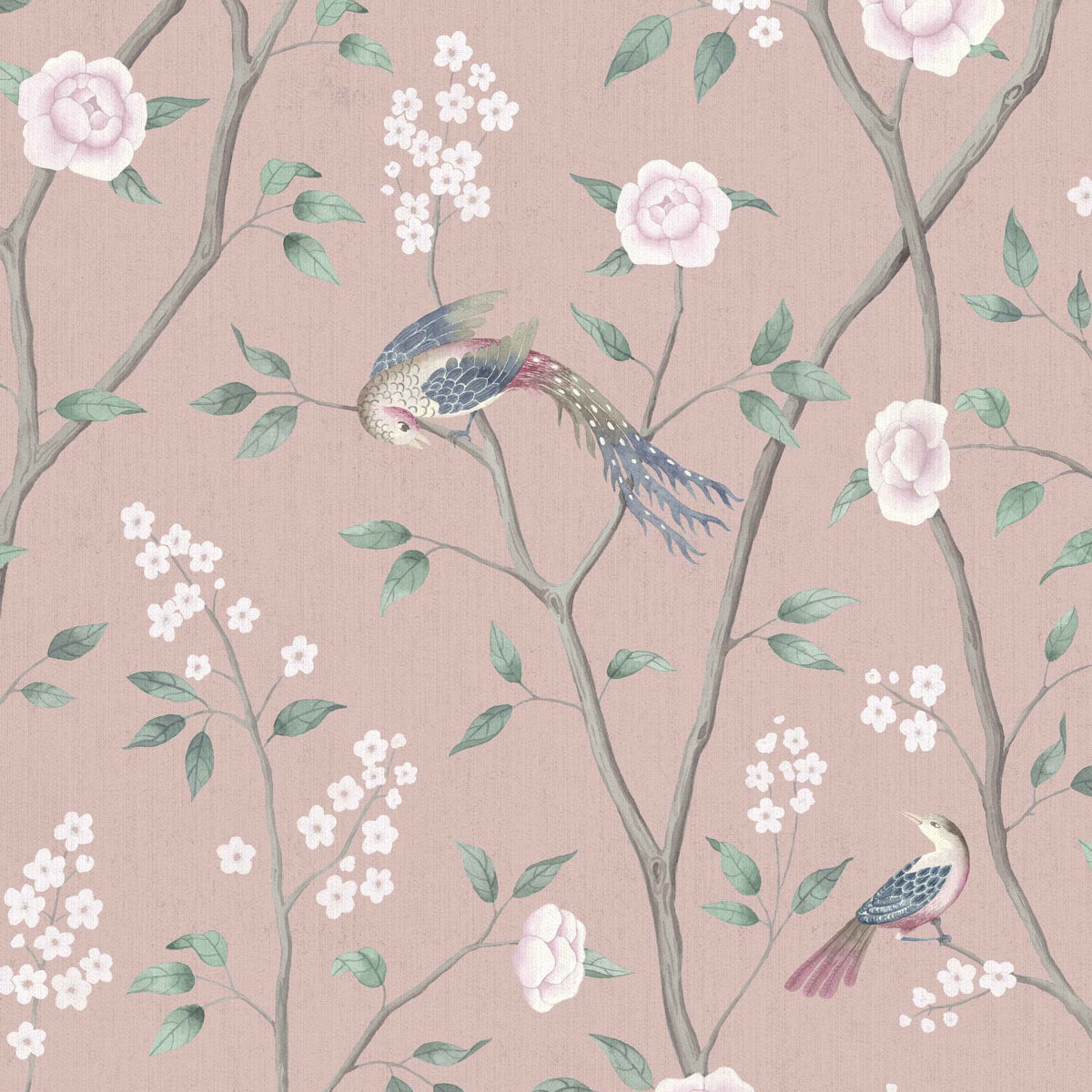 SCHUMACHER WALLCOVERING  BORASTAPETER PARADISE BIRDS   BLUSH SHIMMER   - 1901
