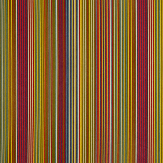 Robert Allen Freestyling | Carnivale  Upholstery     - 191055