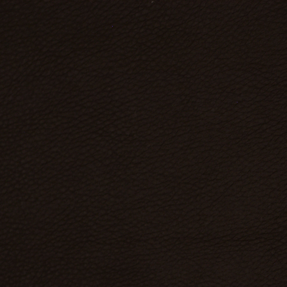 Robert Allen Contract Coltin | Raisin  Upholstery     - 191374