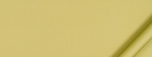 Robert Allen Lustre Sheen | Celery  Multipurpose     - 193529