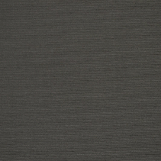 Robert Allen @ Home Canvas Duck | Mist  Upholstery     - 193576