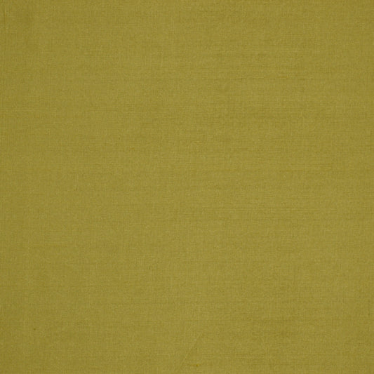 Robert Allen Kalin | Leaf  Multipurpose     - 193598