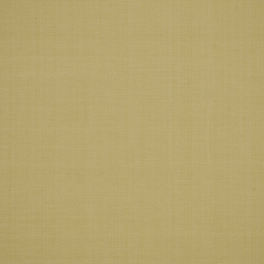 Robert Allen Zahara | Birch  Multipurpose     - 193607