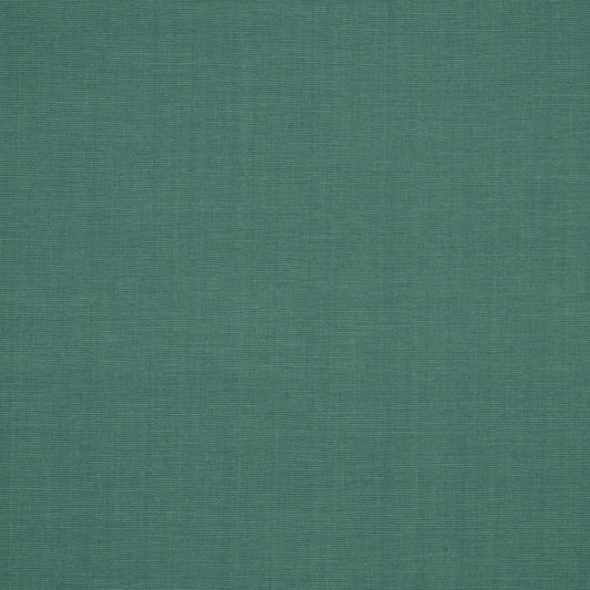 Robert Allen Zahara | Peacock  Multipurpose     - 193615