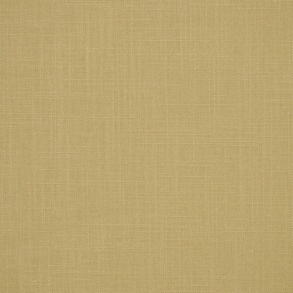 Robert Allen Jaden | Coconut  Multipurpose     - 193638