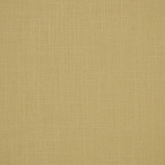 Robert Allen Jaden | Coconut  Multipurpose     - 193638