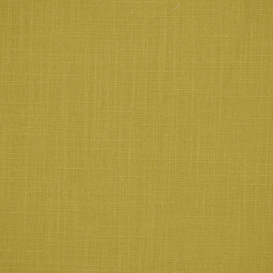 Robert Allen Jaden | Celery  Multipurpose     - 193644