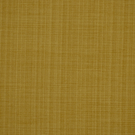 Robert Allen Botkier | Amber  Multipurpose     - 193847