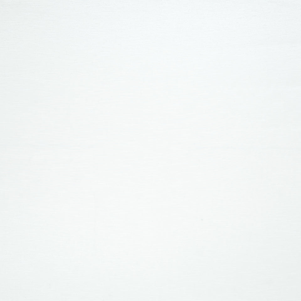 Robert Allen Avezzano | Snow  Drapery     - 194601