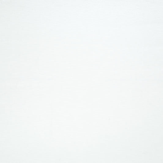 Robert Allen Avezzano | Snow  Drapery     - 194601