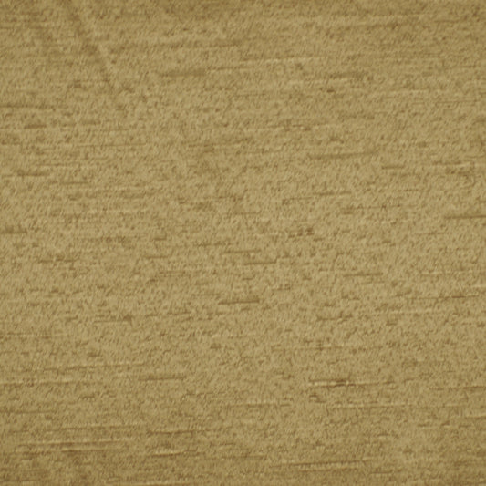 Robert Allen Avezzano | Truffle  Drapery     - 194620