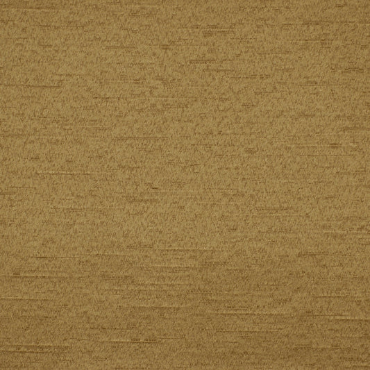 Robert Allen Avezzano | Mushroom  Drapery     - 194621