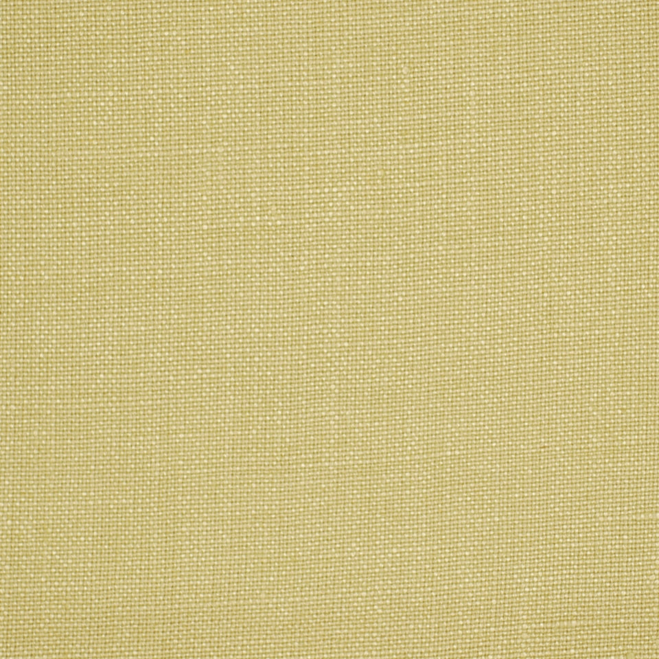 Robert Allen Valemont | Leek  Multipurpose     - 194800