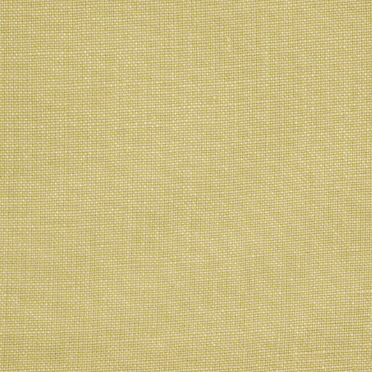 Robert Allen Valemont | Leek  Multipurpose     - 194800