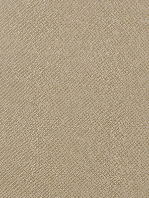 Robert Allen Kidskin | Frost  Upholstery     - 195323