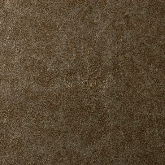 Robert Allen Soft And Shiny | Silver Sage  Upholstery     - 195332