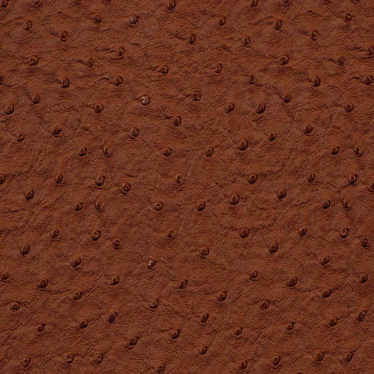 Robert Allen Harvest Moon | Terracotta  Upholstery     - 195429