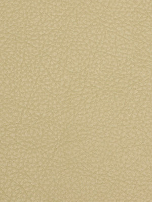 Robert Allen Loggins | Parchment  Upholstery     - 195448