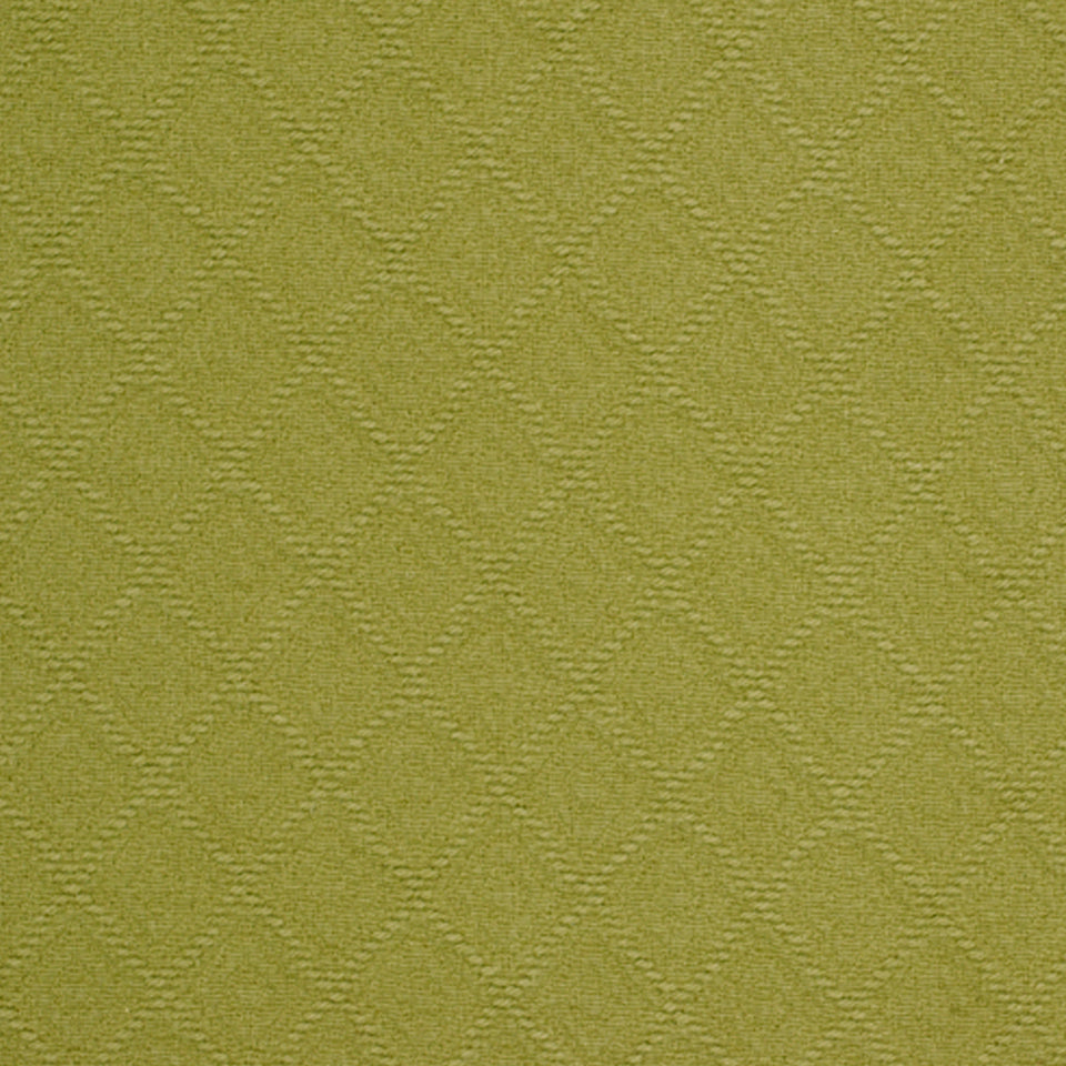 Robert Allen Brightwood | Wasabi  Multipurpose     - 195589