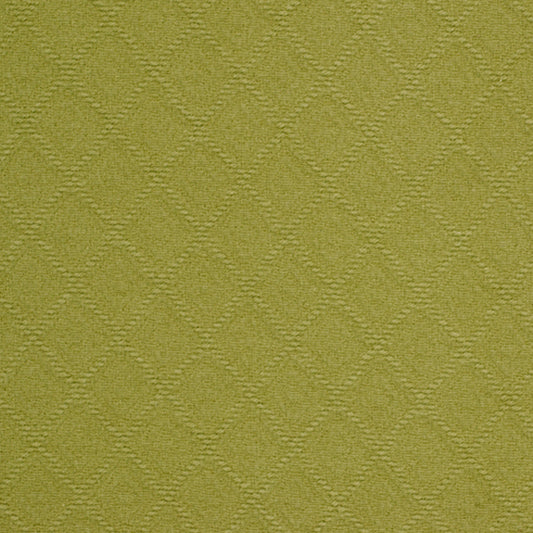 Robert Allen Brightwood | Wasabi  Multipurpose     - 195589